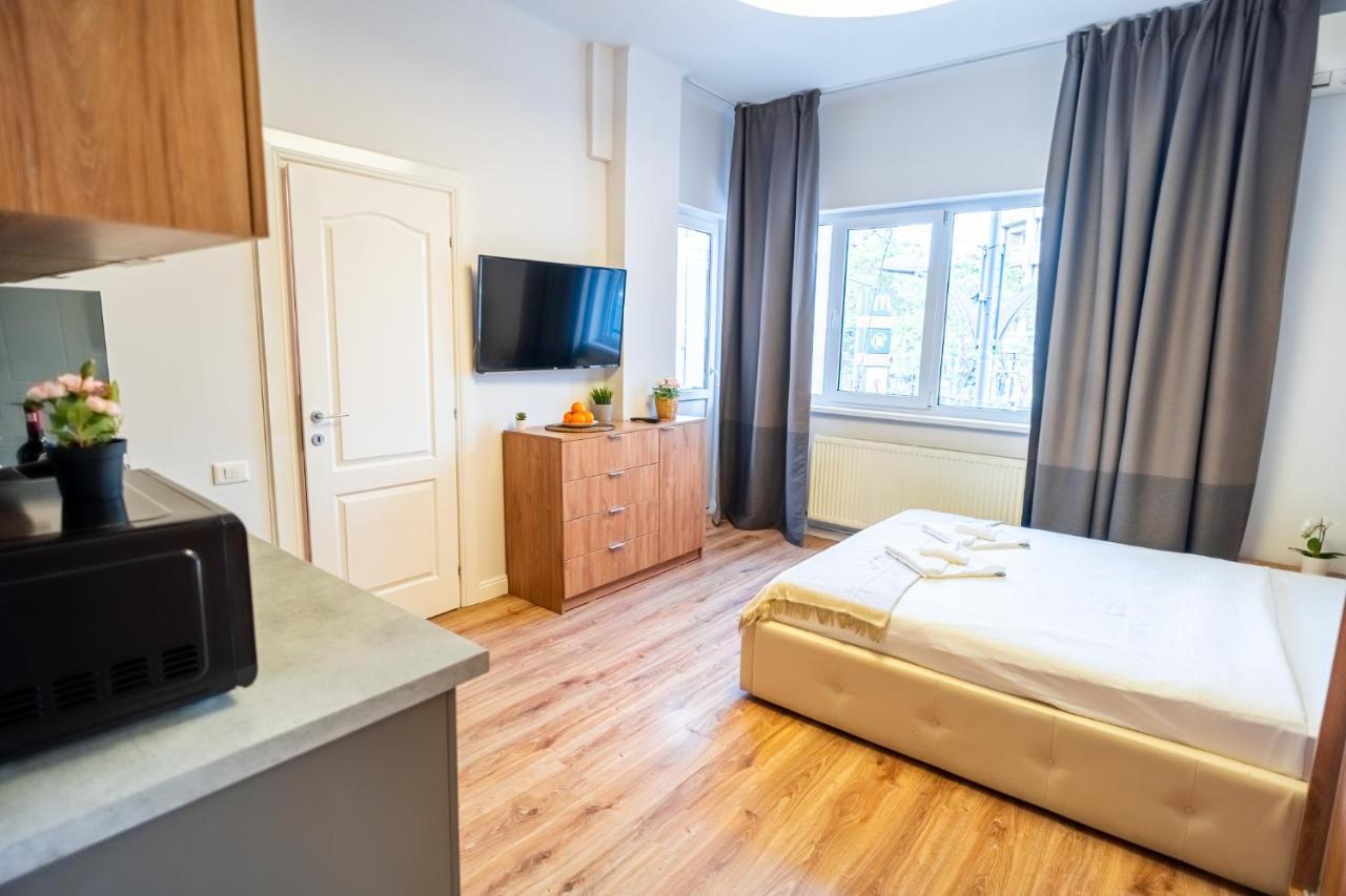 Cozy Apartments Near Calea Victoriei Bukareszt Zewnętrze zdjęcie