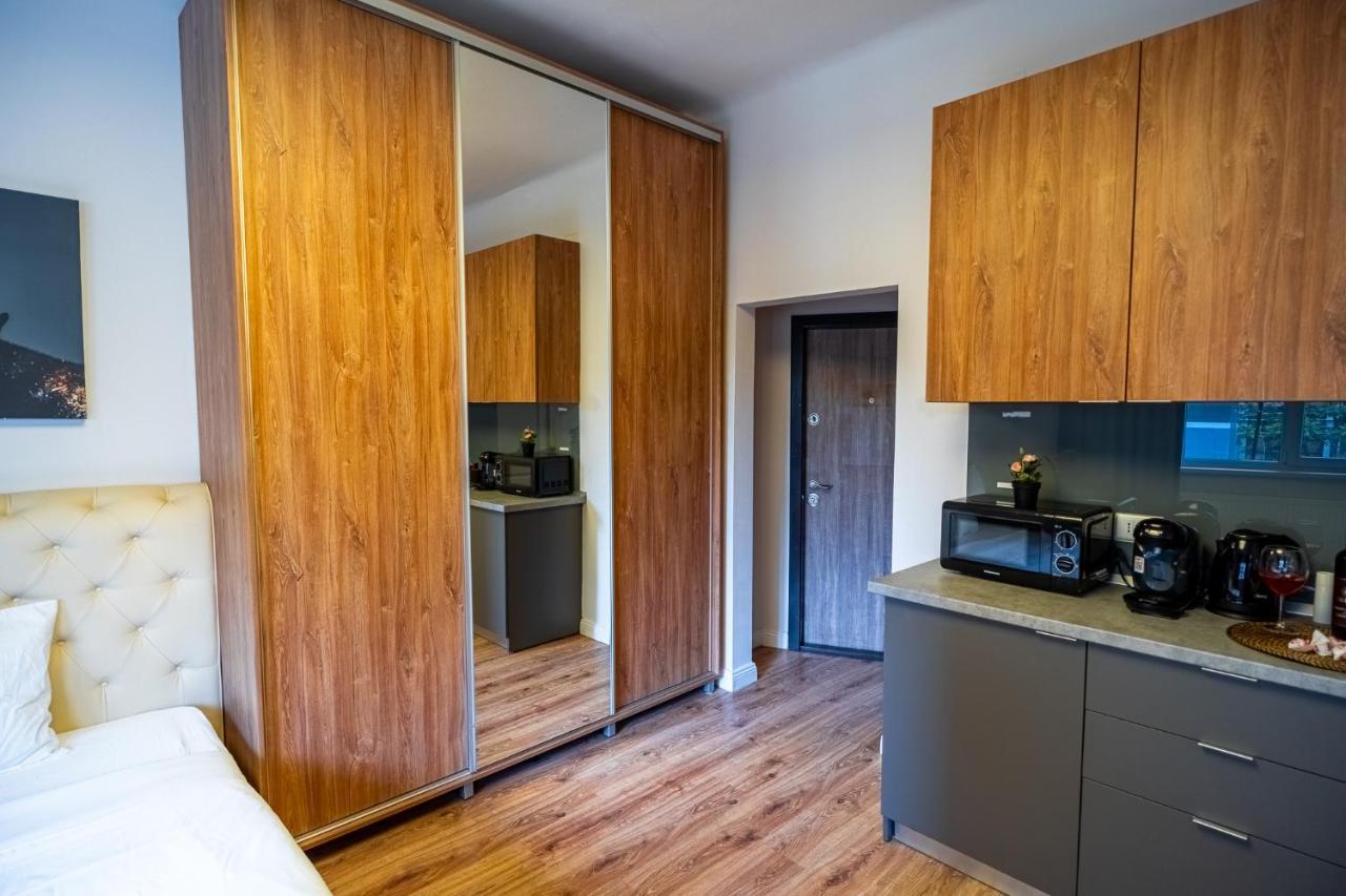 Cozy Apartments Near Calea Victoriei Bukareszt Zewnętrze zdjęcie
