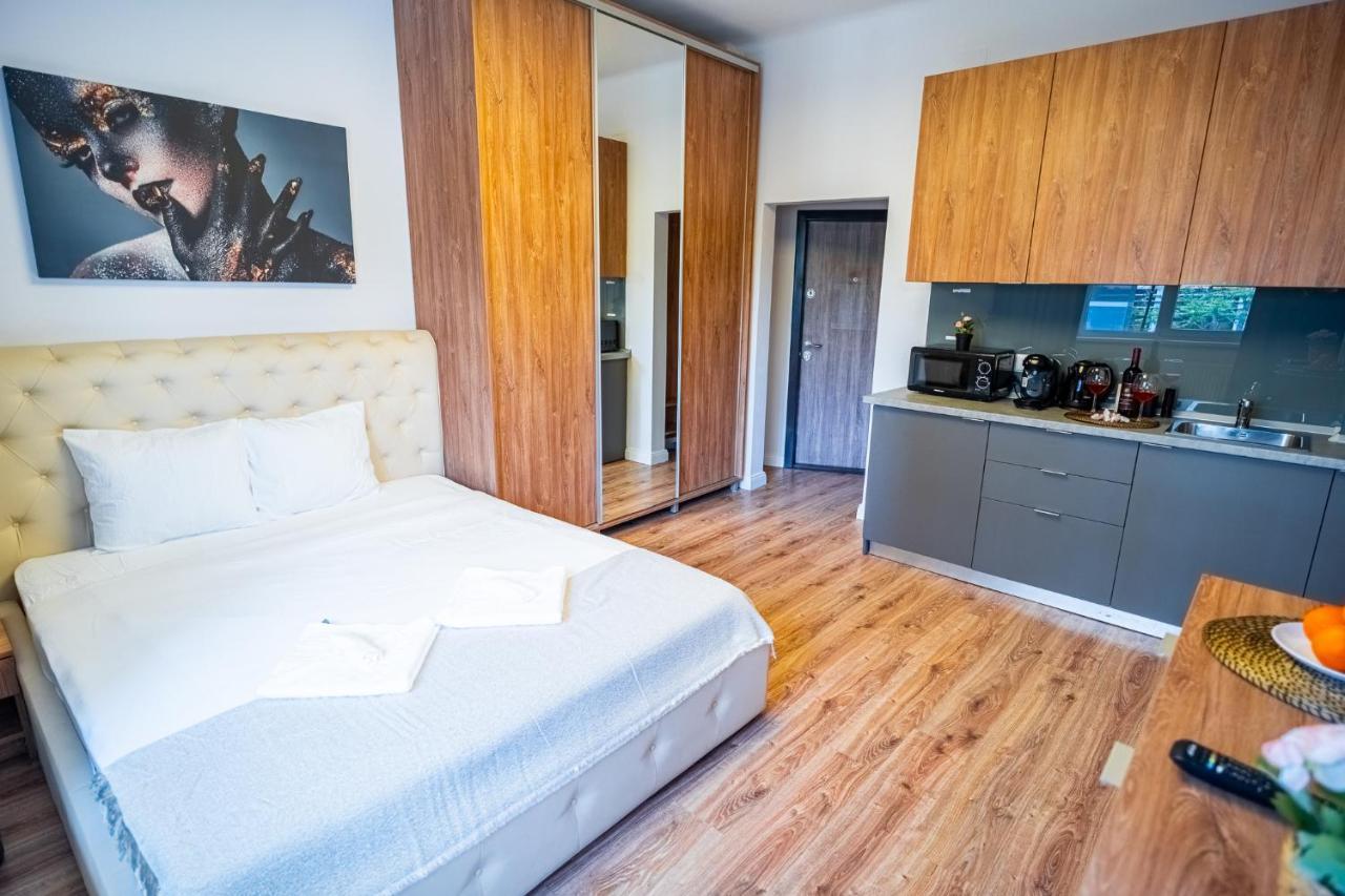 Cozy Apartments Near Calea Victoriei Bukareszt Zewnętrze zdjęcie